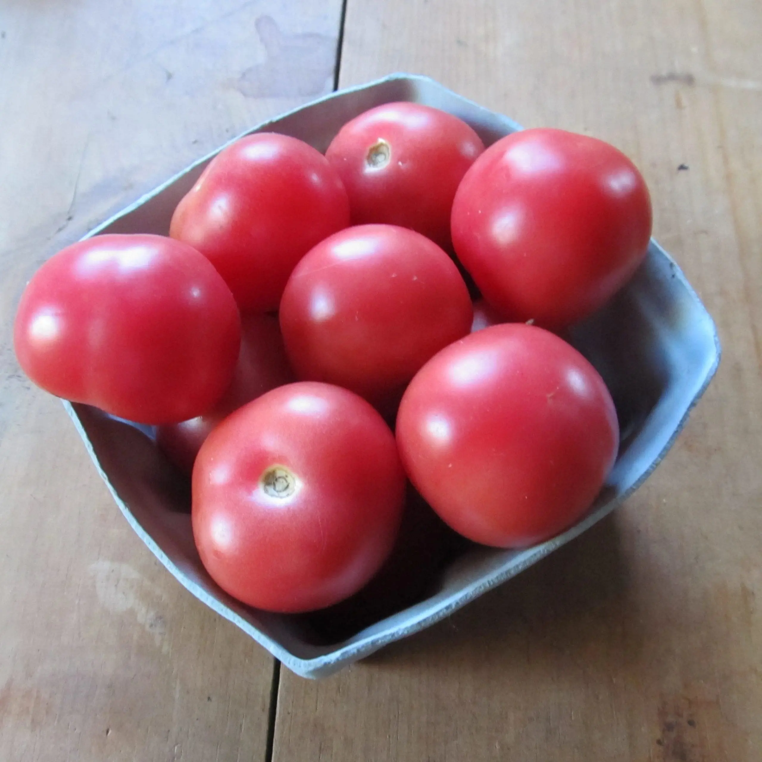 Pink snow tomato: reviews, photos, yield