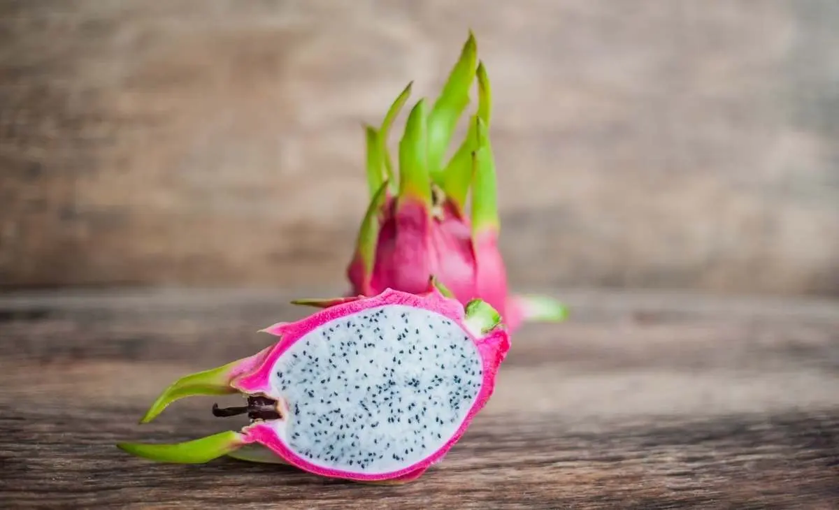 Pitaya &#8211; nutritional properties, application, who should not eat