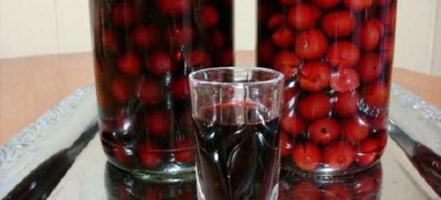 Pitted cherry vodka: how to make cherry tincture at home