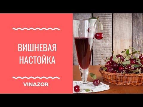 Pitted cherry vodka: how to make cherry tincture at home