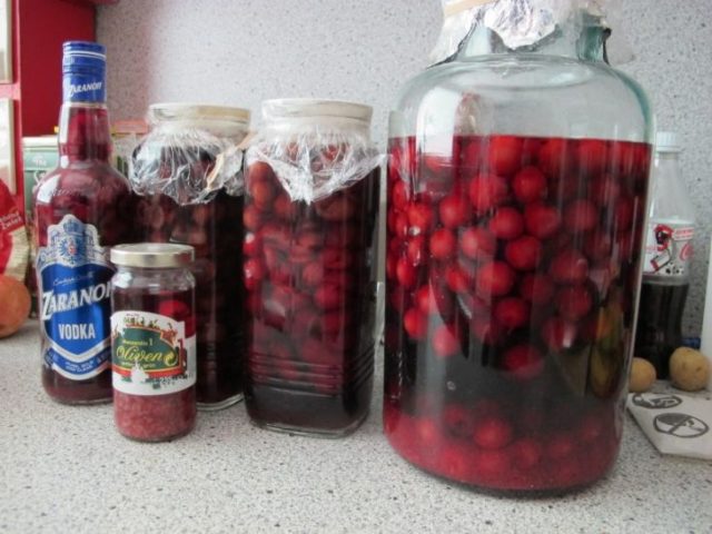 Pitted cherry wine: how to cook at home