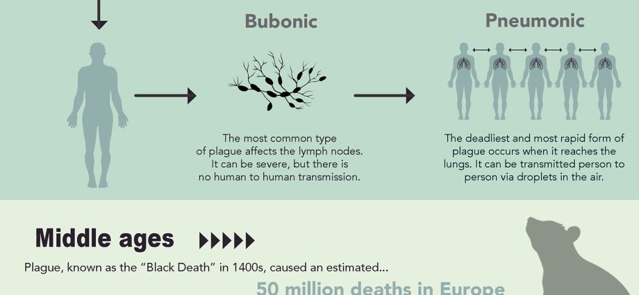 Plague &#8211; symptoms, types, treatment of the disease