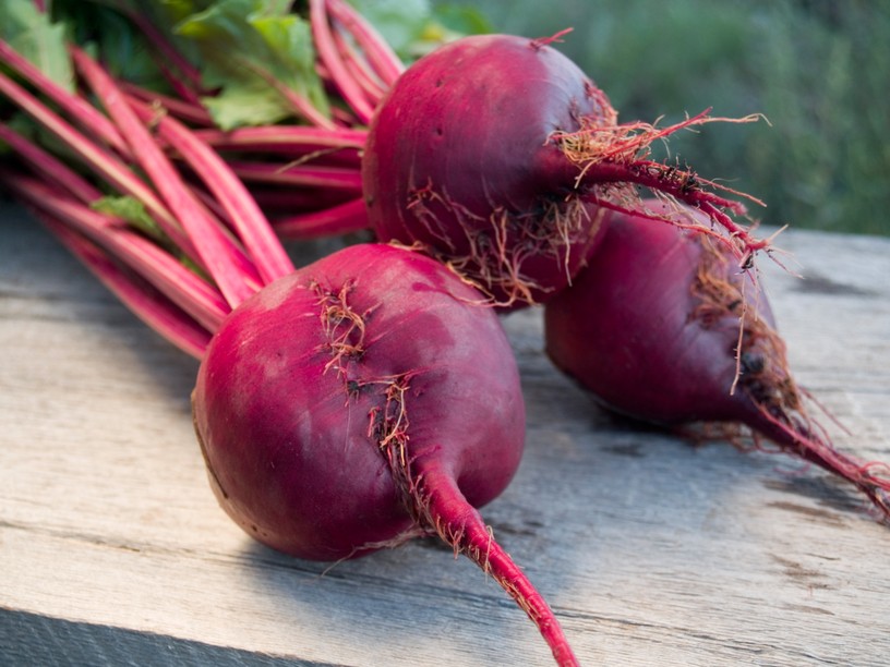 Planting beets before winter: technique and advantages of the method