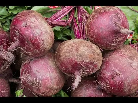 Planting beets with seeds in open ground: scheme