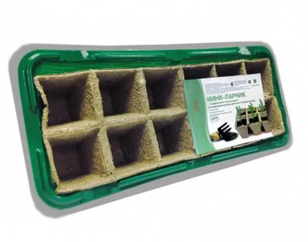 Planting cucumbers for seedlings in tablets and peat pots