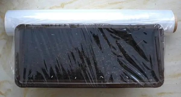 Planting eggplant in the ground seedlings