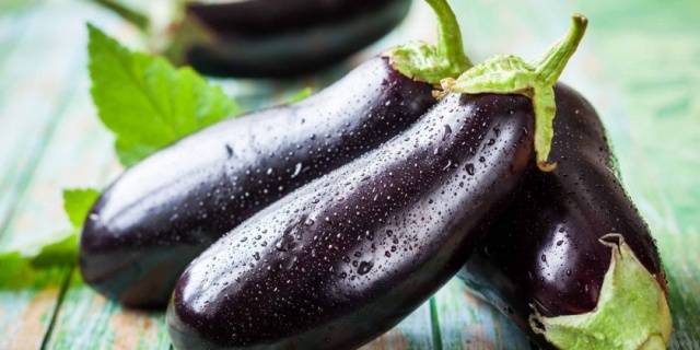 Planting eggplant seedlings according to the lunar calendar