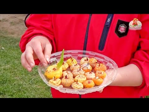 Planting gladioli in the Urals in spring 