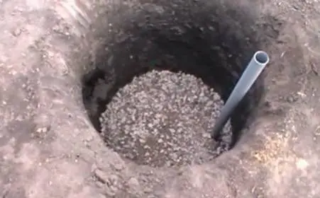 Planting grapes in autumn