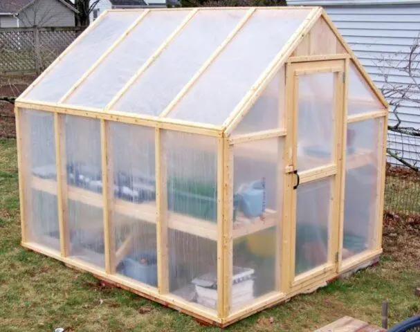 Planting lettuce in a polycarbonate greenhouse: before winter, early spring, autumn