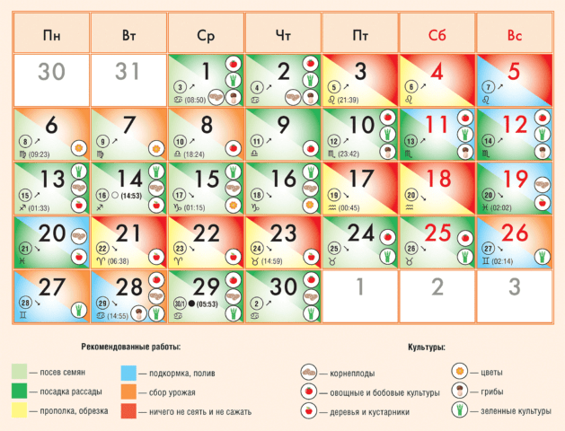 Planting potatoes in June 2022: favorable days according to the lunar calendar