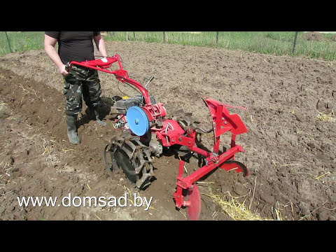 Planting potatoes under a walk-behind tractor 