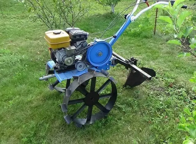 Planting potatoes under a walk-behind tractor 