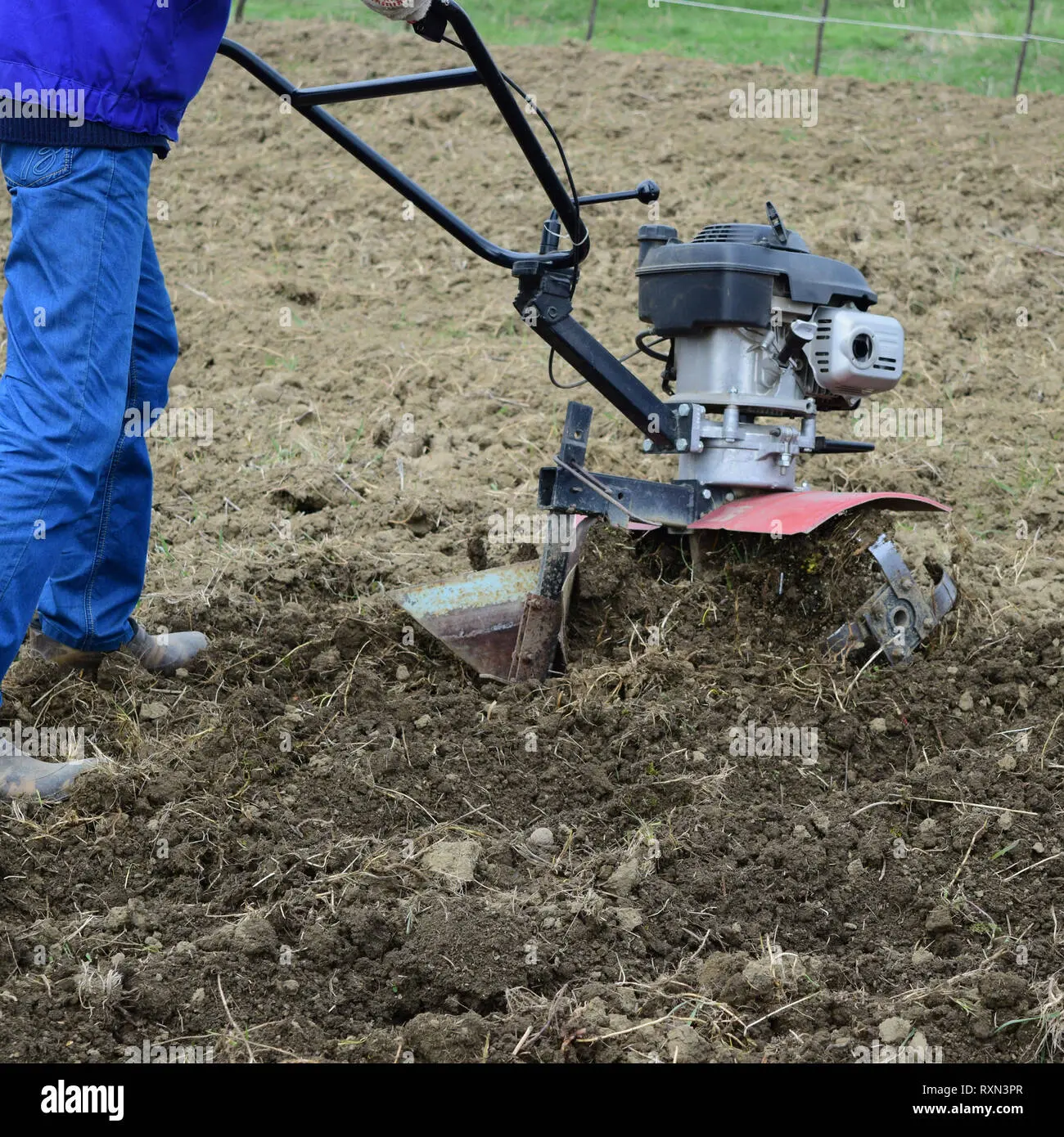 Planting potatoes under a walk-behind tractor 