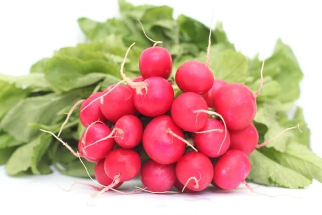 Planting radishes under a film in early spring, in March