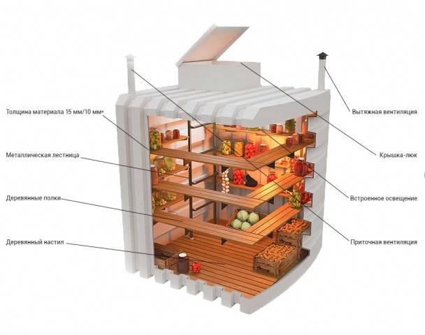 Plastic cellar Tingard 