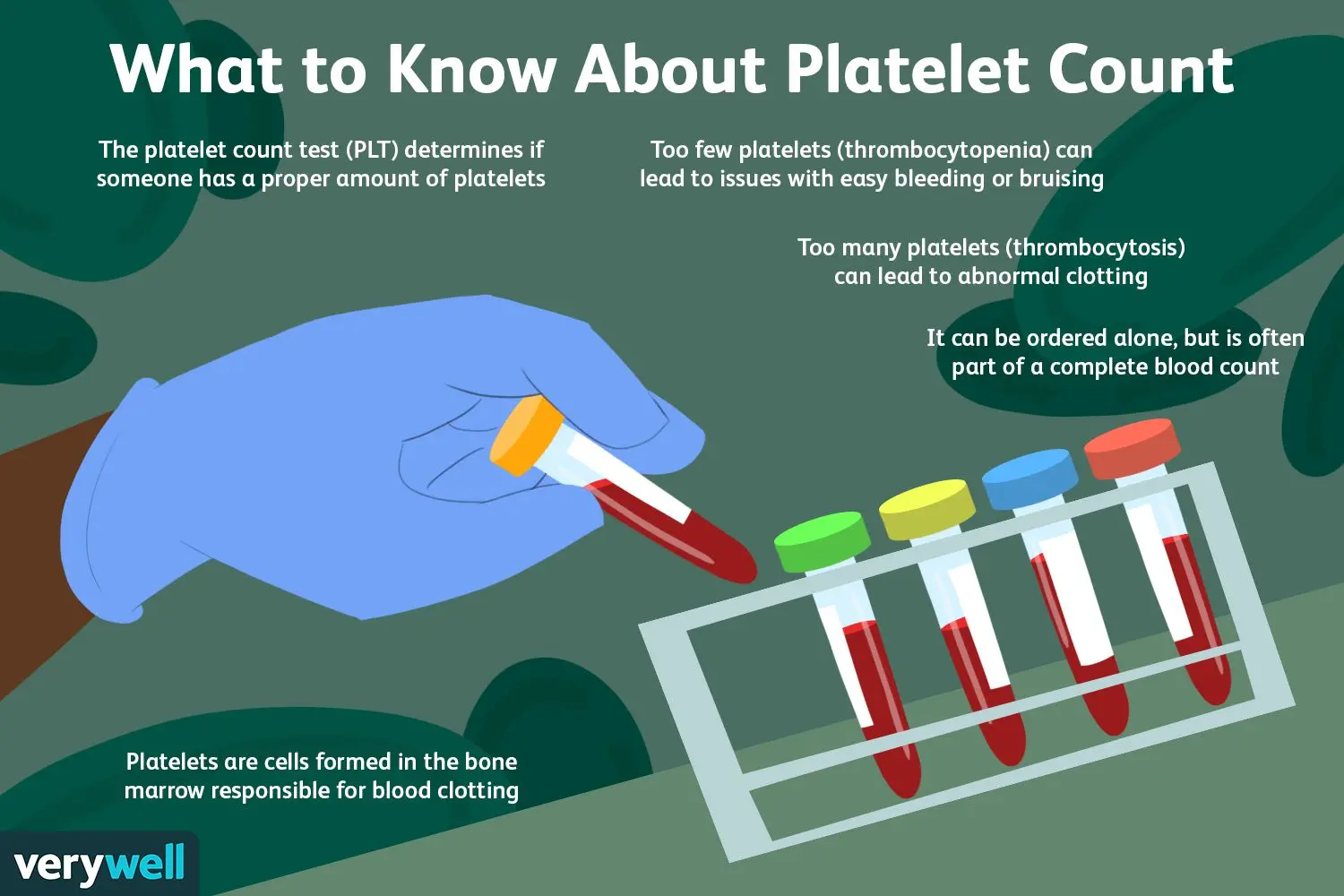 Platelet count and blood clotting. When to do a blood test for thrombocytes?