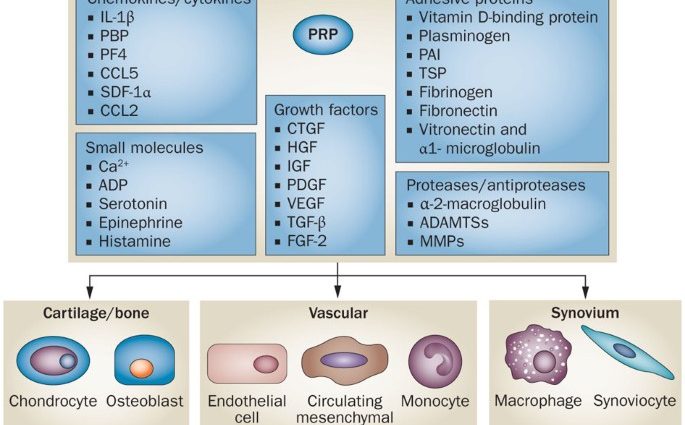 Platelet-rich plasma &#8211; action, indications, course of the procedure, effects