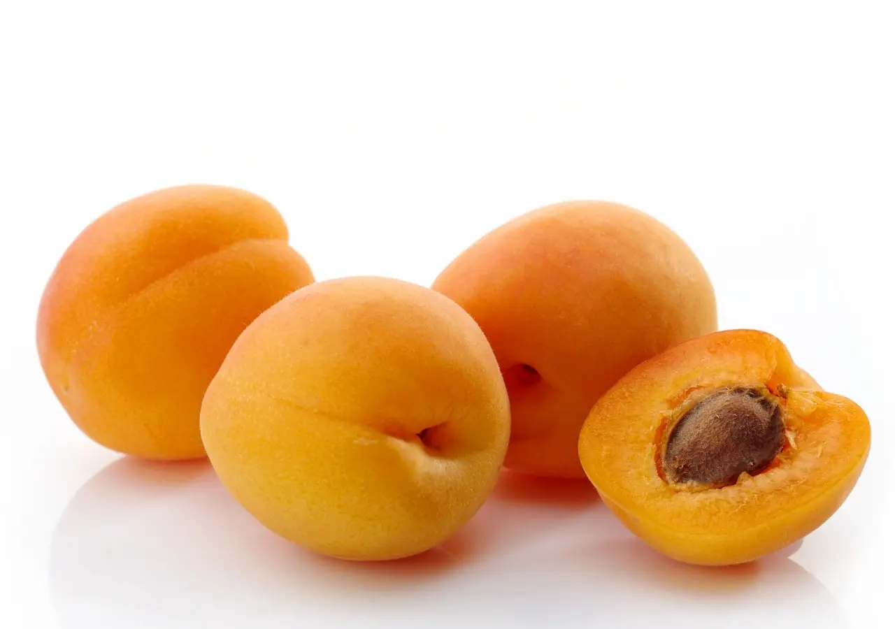 Plum (apricot) Mara