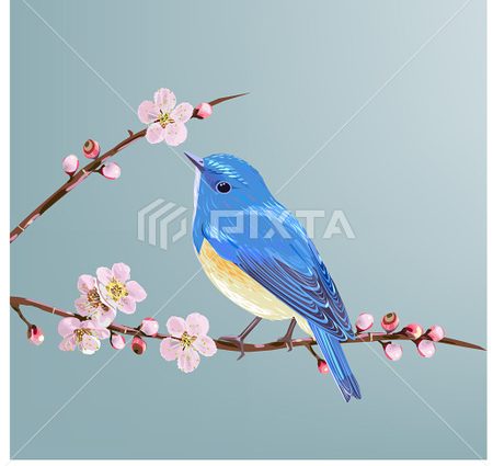 Plum blue bird