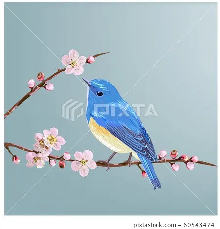 Plum blue bird