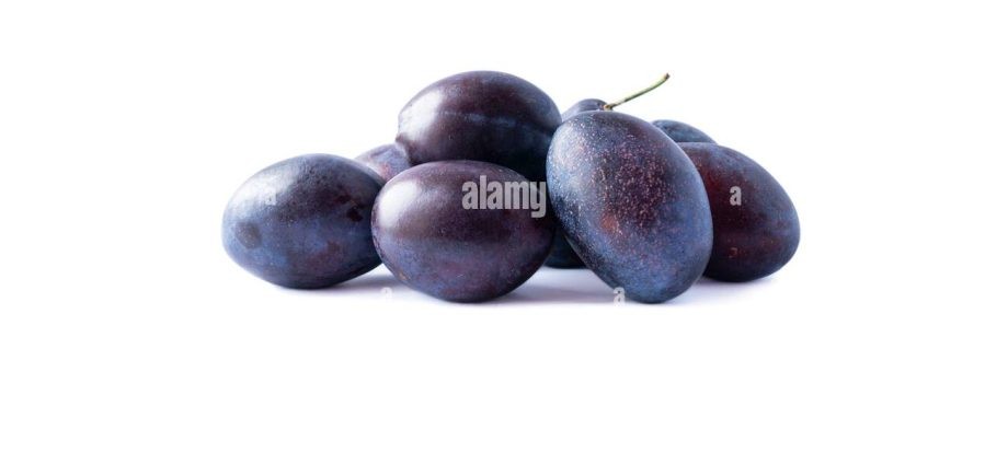 Plum Hungarian: variety description with photo and video