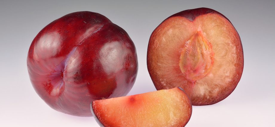 Plum is a berry or fruit: definitions, terminology, existing theories + a brief history of fruit crops