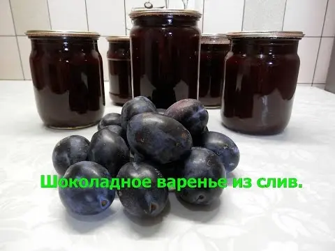 Plum jam with cocoa for the winter