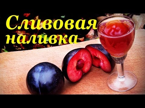 Plum liqueur at home