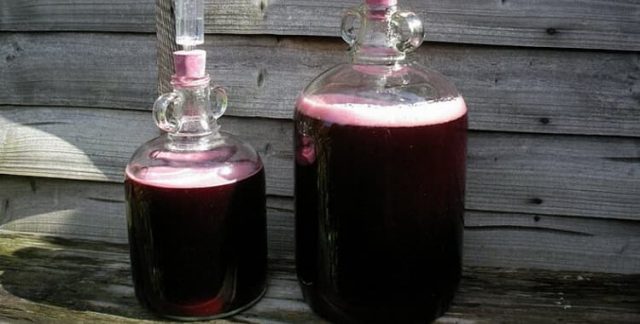 Plum liqueur at home