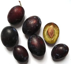 Plum Prunes