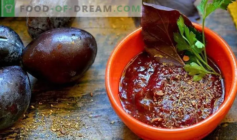 Plum tkemali sauce: a recipe for the winter