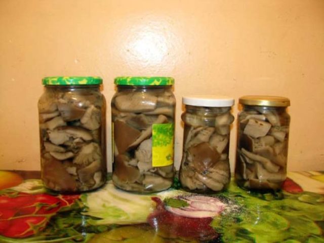 Plyutey deer (Deer mushroom): photo and description, recipes