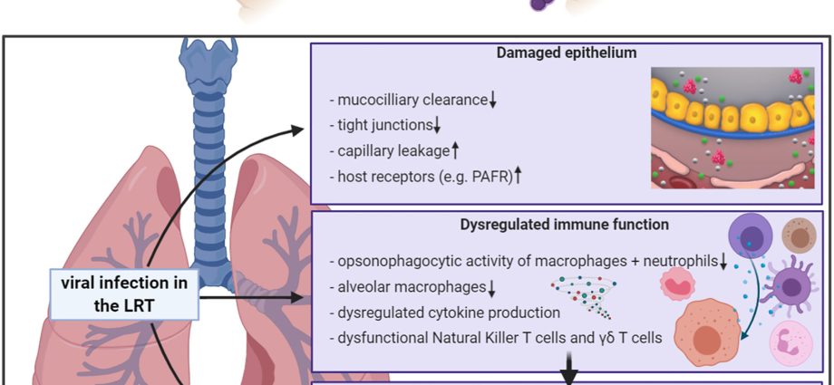 Pneumococcus &#8211; a deadly threat