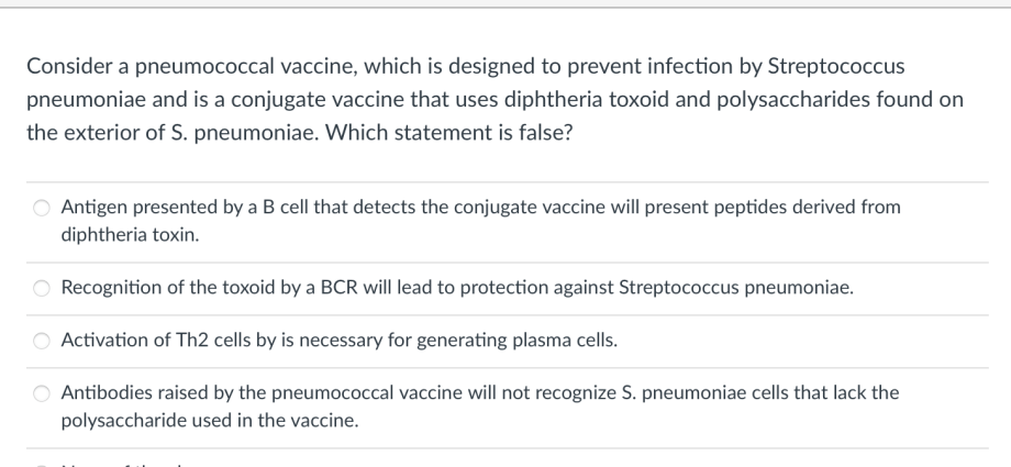 Pneumococcus in questions and answers