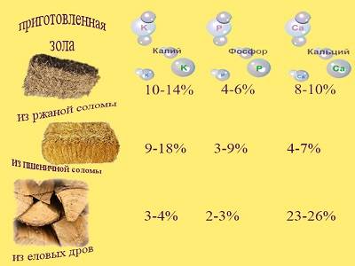 Подкормка томатов золой 