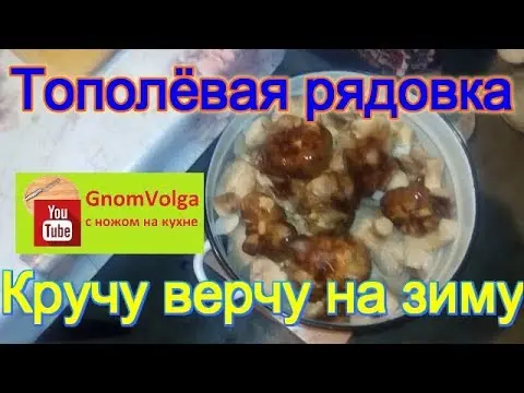 Podtopolniki for the winter: cooking recipes with oil and garlic, photos, videos