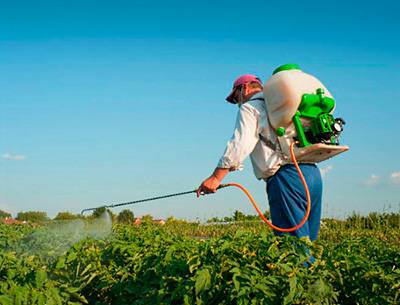 Poison from the Colorado potato beetle 