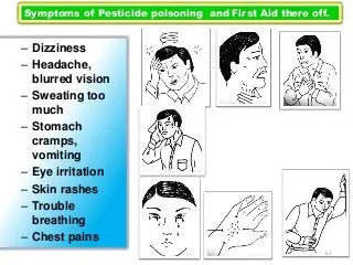 Poisoning with insecticides &#8211; symptoms and first aid