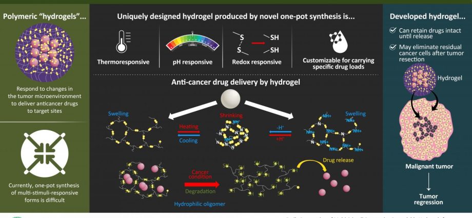 Poles have developed a gel that will help test cancer drugs