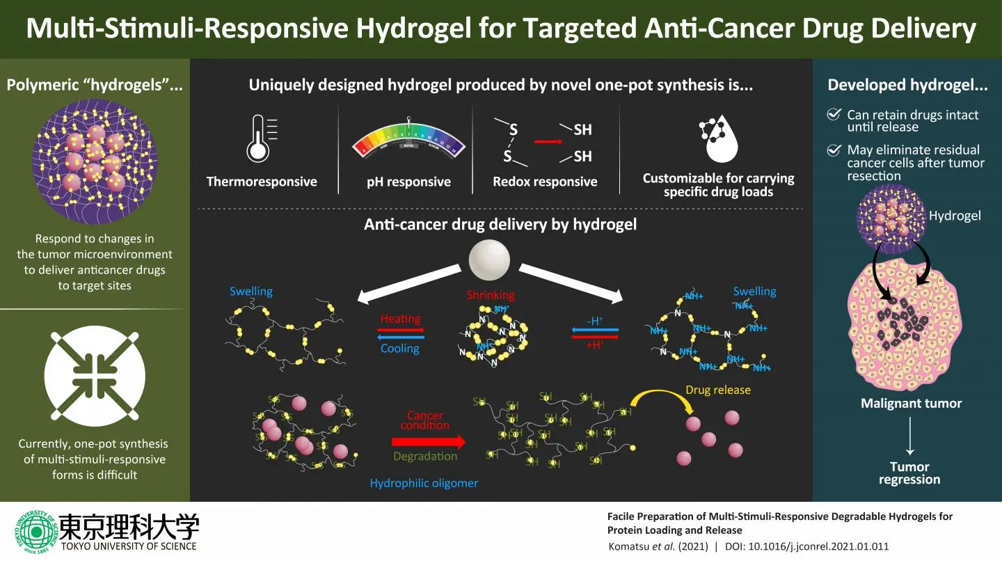 Poles have developed a gel that will help test cancer drugs