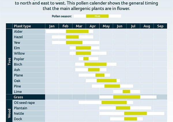 Pollen calendar. What dusts in April?