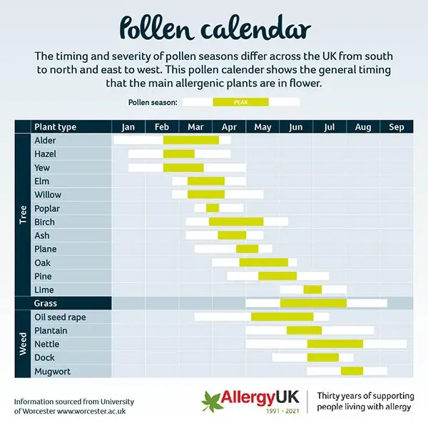 Pollen calendar. What dusts in April?