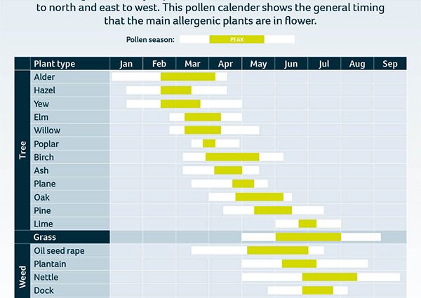 Pollen calendar. What dusts in March?