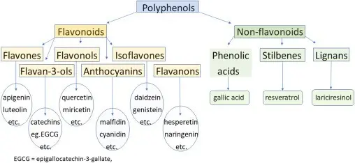 Polphenone &#8211; indications, action, interactions with other drugs