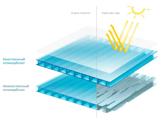 Polycarbonate for greenhouses: which is better and more reliable?