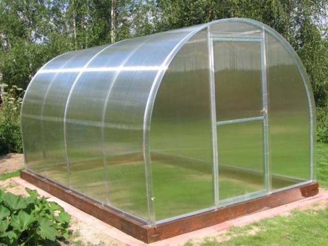 Polycarbonate greenhouse chicken coop