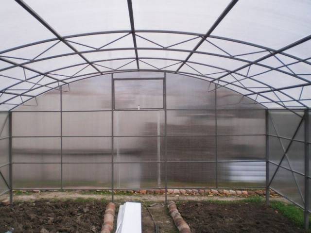 Polycarbonate greenhouse chicken coop