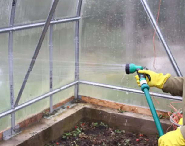 Polycarbonate greenhouse disinfection in autumn