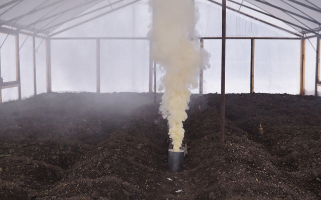 Polycarbonate greenhouse disinfection in autumn